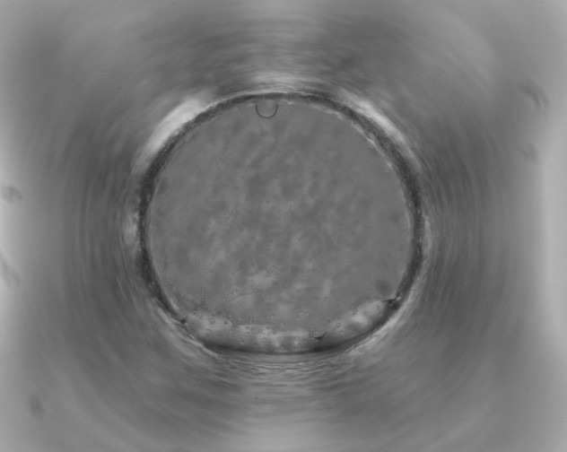 X0000091311259200708101457