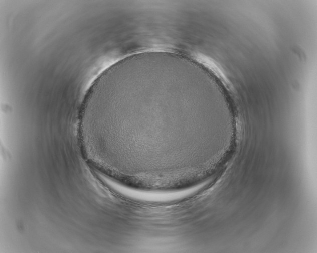 X0000091311260200708101457