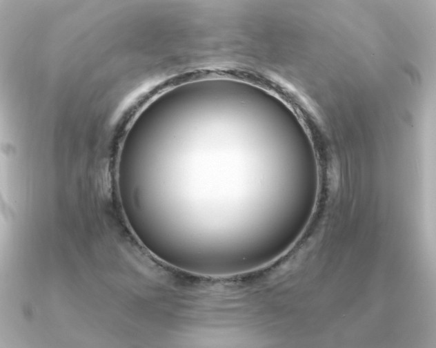 X0000091311262200708101457