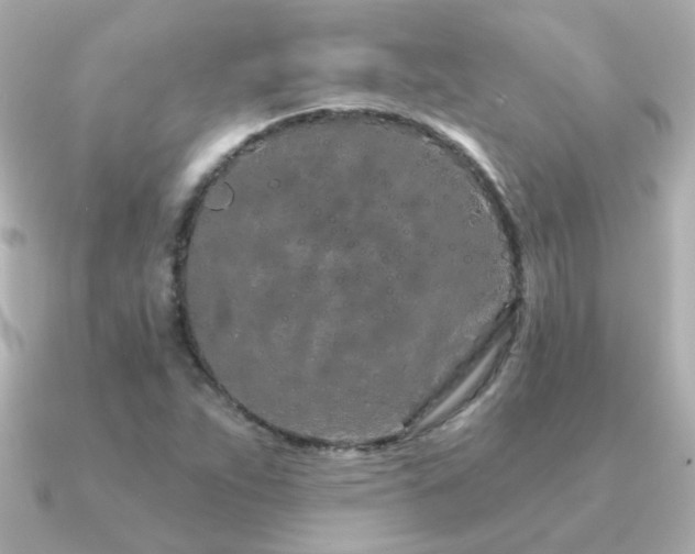 X0000091311263200708101457