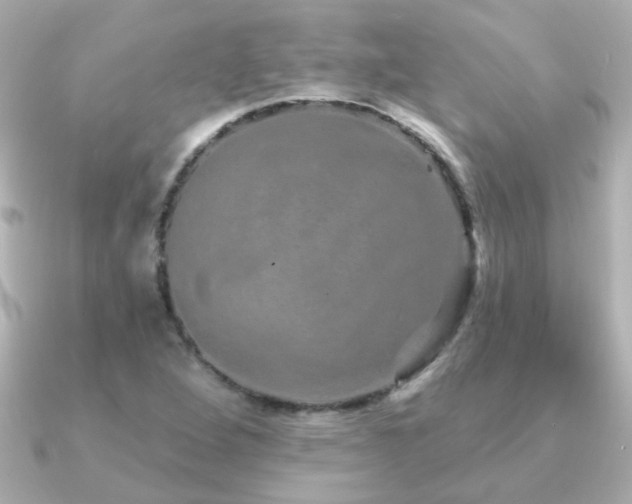 X0000091311264200708101457