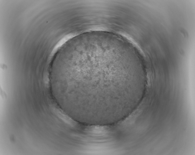 X0000091311266200708101457