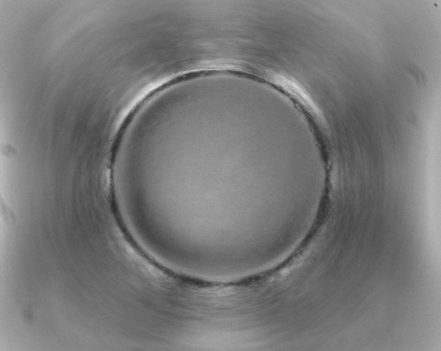 X0000091311268200708101457