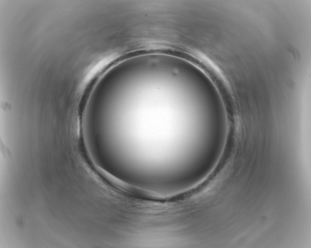 X0000091311269200708101457