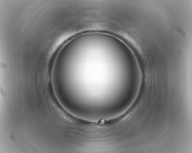 X0000091311270200708101457
