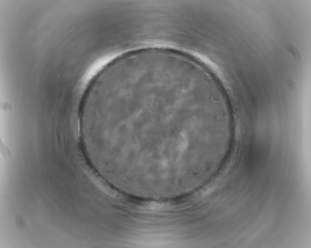 X0000091311271200708101457
