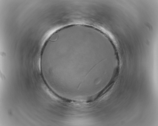 X0000091311272200708101457