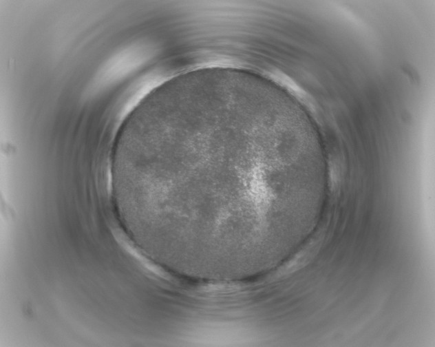 X0000091311274200708101457