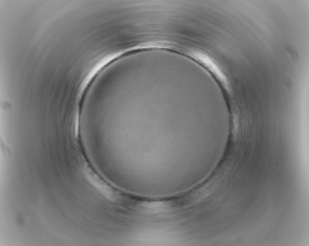 X0000091311276200708101457