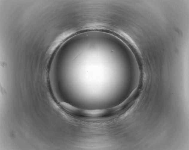 X0000091311277200708101457