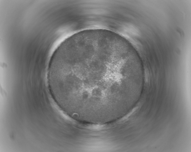 X0000091311278200708101457