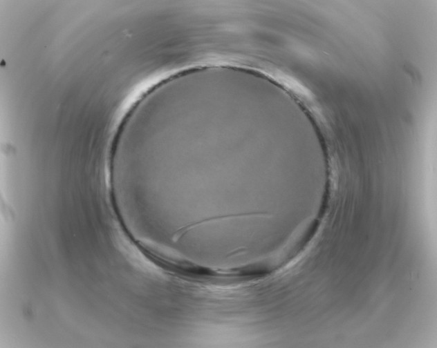 X0000091311280200708101457