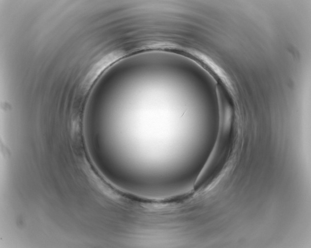 X0000091311281200708101457