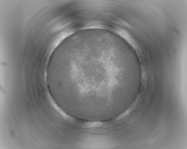 X0000091311282200708101457