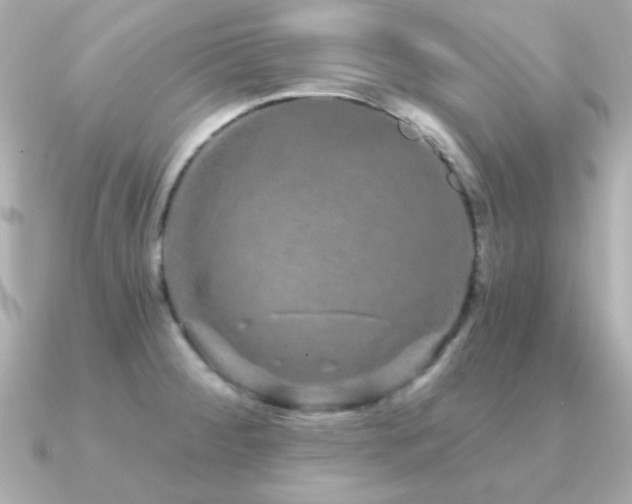 X0000091311284200708101457