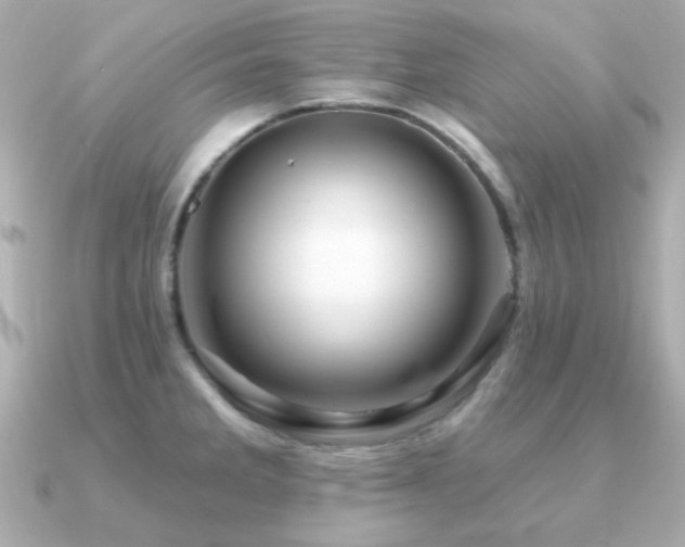 X0000091311285200708101457