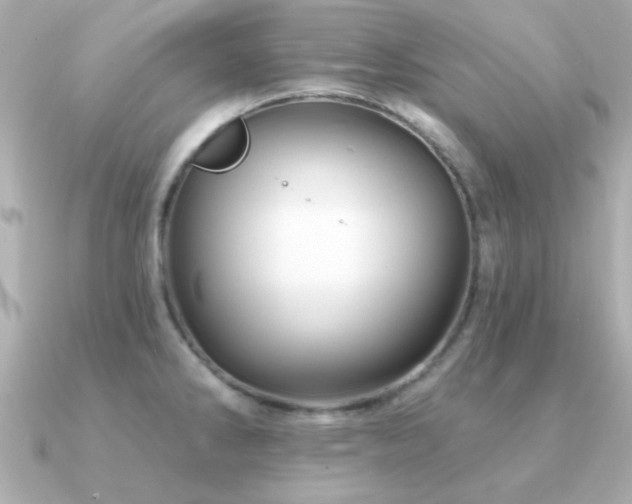 X0000091311286200708101457