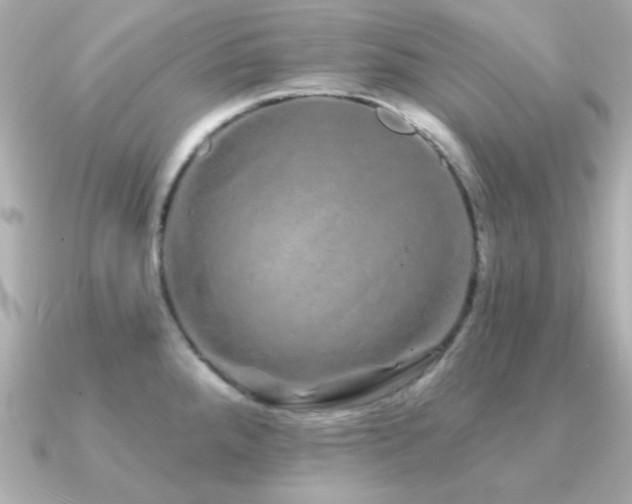 X0000091311288200708101457