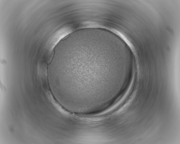 X0000091311289200708101457