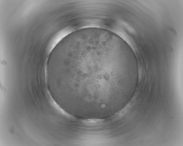 X0000091311290200708101457