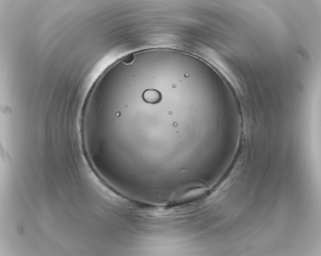 X0000091311291200708101457