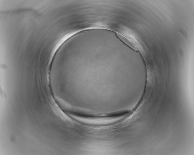 X0000091311292200708101457