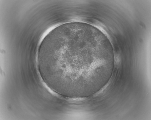 X0000091311294200708101457