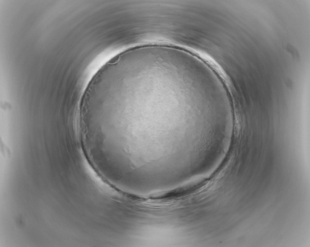 X0000091311295200708101457