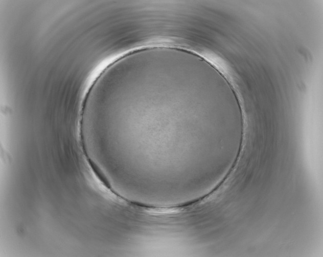 X0000091311296200708101457