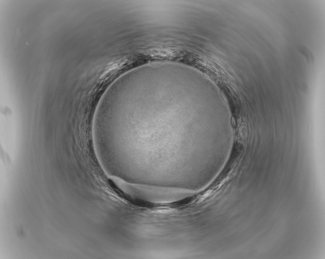 X0000091311297200708101456