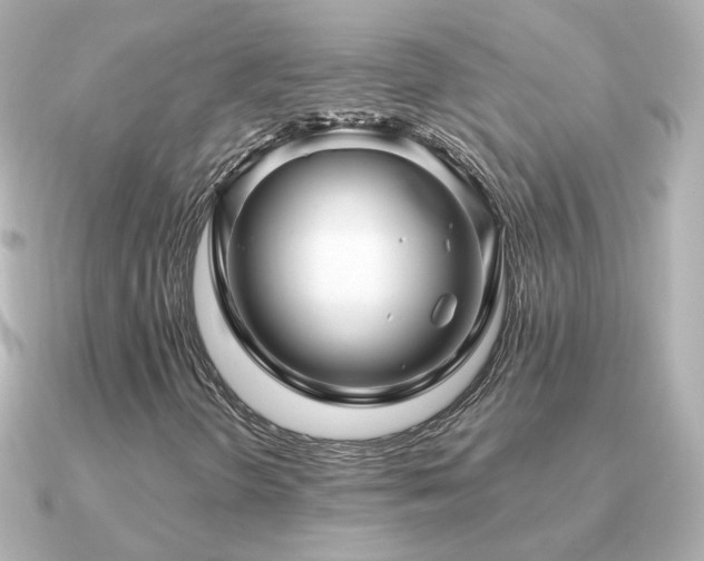 X0000091311298200708101456