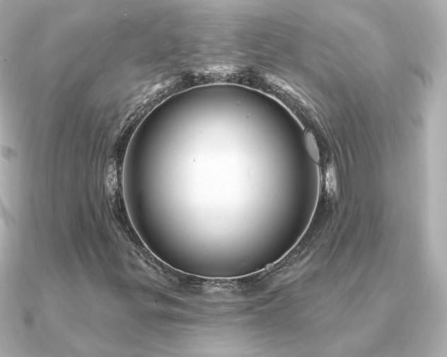 X0000091311299200708101456