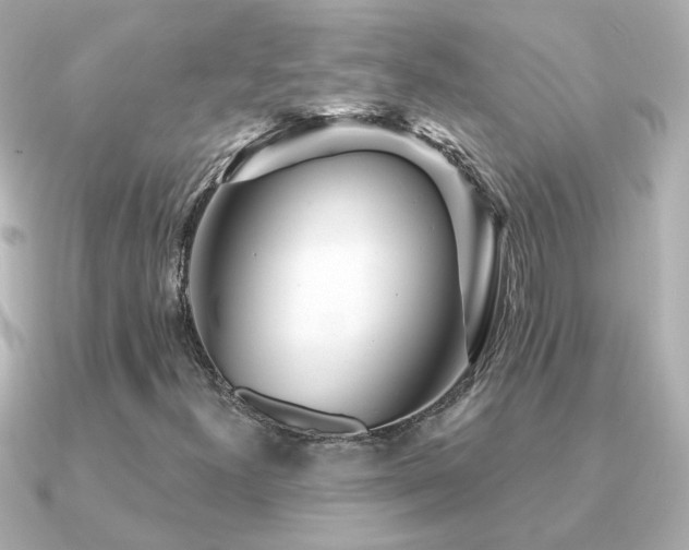 X0000091311300200708101456