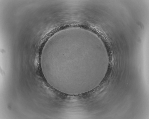 X0000091311301200708101456
