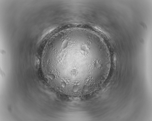 X0000091311302200708101456