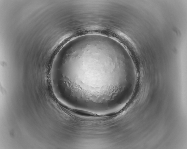 X0000091311305200708101456