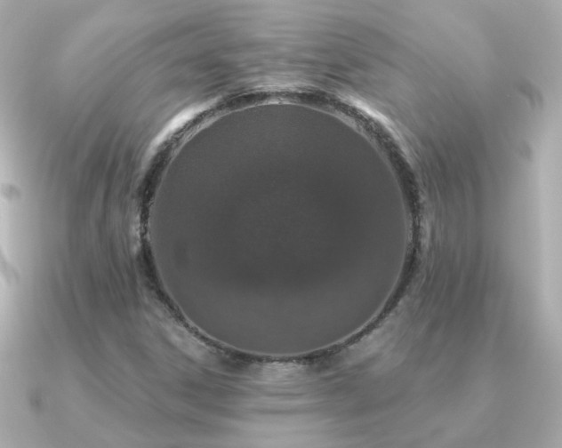 X0000091311306200708101456