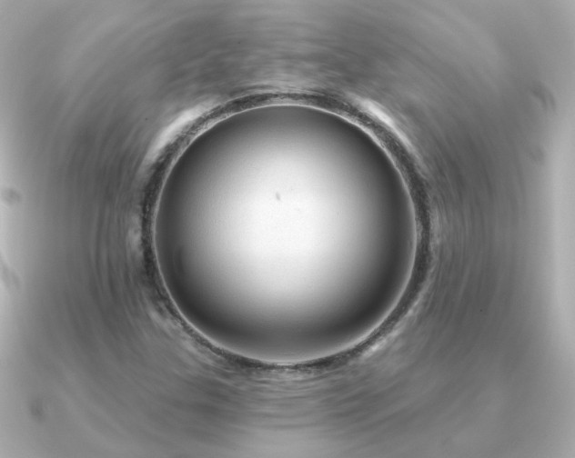 X0000091311307200708101456
