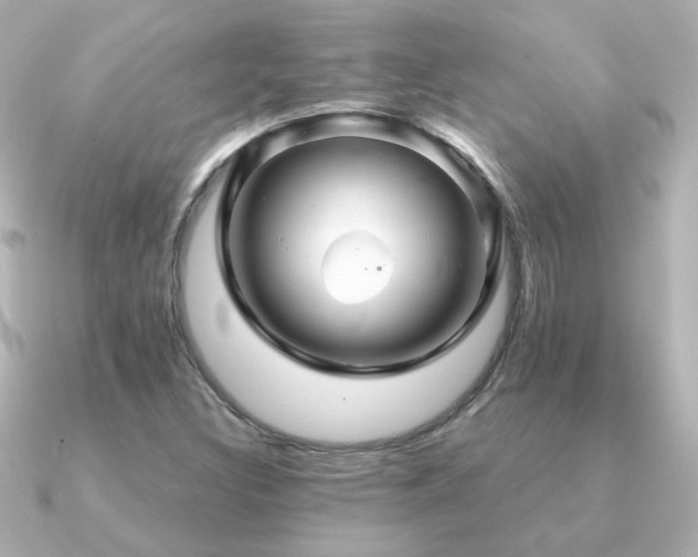 X0000091311308200708101456