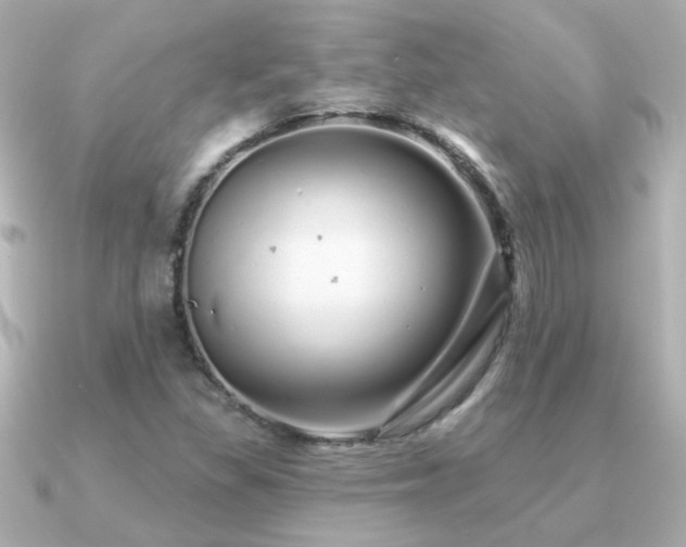 X0000091311309200708101456