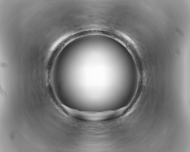 X0000091311310200708101456