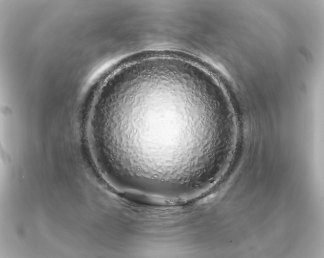 X0000091311311200708101456