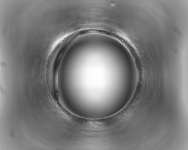 X0000091311312200708101456