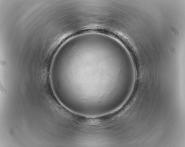 X0000091311313200708101456