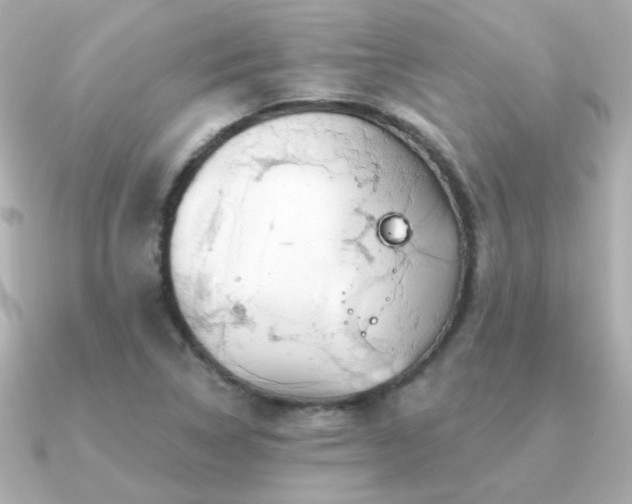 X0000091311314200708101456