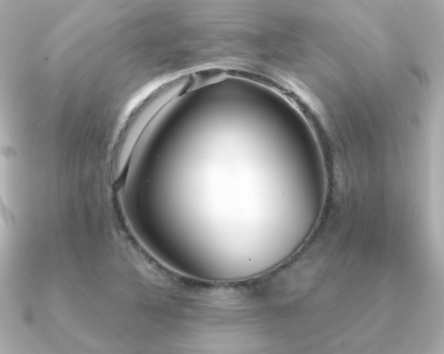 X0000091311316200708101456