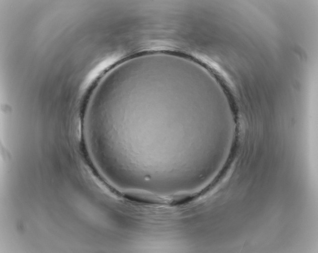X0000091311317200708101456