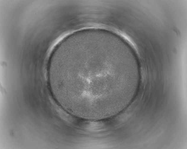 X0000091311318200708101456