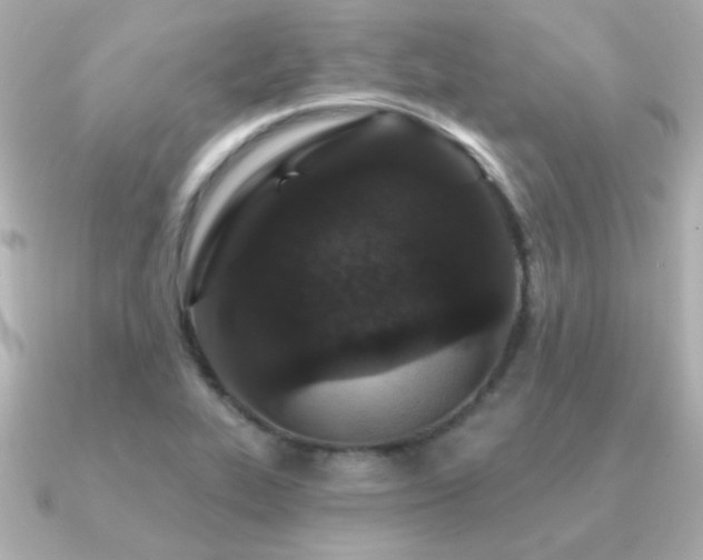 X0000091311319200708101456