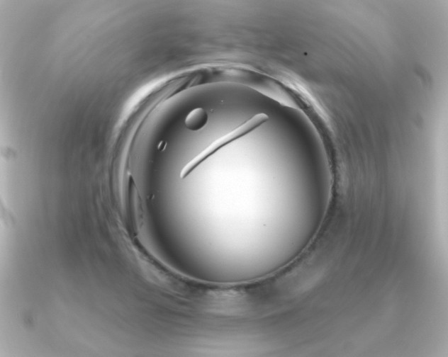X0000091311320200708101456